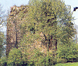 Ruine auf dem Limberg